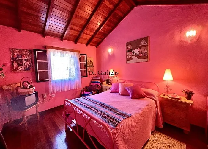 Tropical Paradice إيكود ذي لوس فينوس