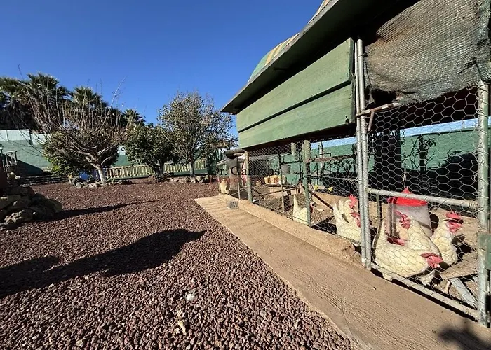 فيلة Tropical Paradice