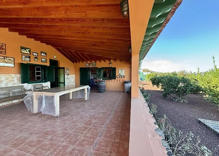 فيلة Tropical Paradice